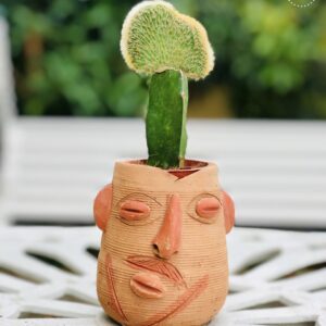 Terracotta pot