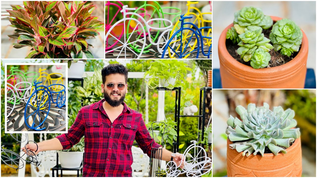 the bb garden, basheer bashi garden, plant nursery in Kochi
